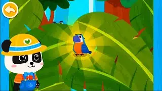 Baby Panda's Bird Kingdom | Learn Bird Names, Facts and What to Feed Them | Educational Game