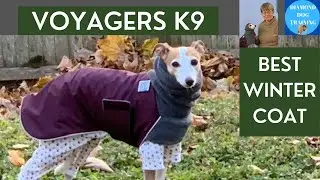 Voyagers K9 Apparel:  The Best Winter Coat For Your Dog