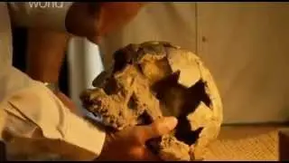 Discovery  Человек на Земле с Тони Робинсоном - Серия 01. Триумф Homo Sapiens