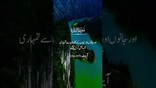 surah baqarah # tarjama e Quran # Quran e Hadees #quranicreality