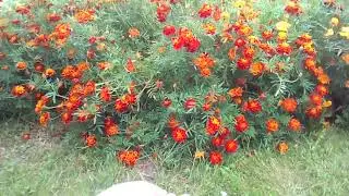 Словила момент. Очень красиво!😘😘😘💋💋💋💞💞💞💖💖💖