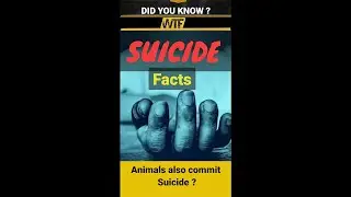 Did you know ? Not only humans commit suicide, Animals too। #animals #facts #shorts