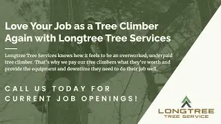 Love Your Job as a Tree Climber Again with Longtree Tree Services