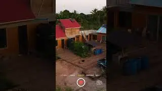 Shamba studio