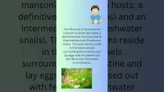 Schistosoma mansoni