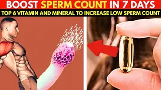 Top 6 Vitamin And Mineral For Low Sperm Count | Male Fertility Tips.