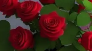 swagat hai aap ka mere live me🌹🌹🌹💚💚&hearts;️&hearts;️