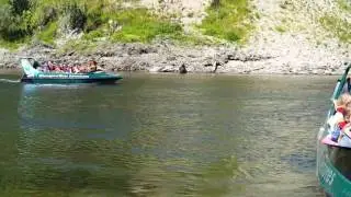 Whanganui River Adventures