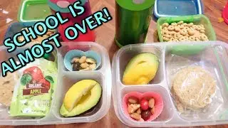 LUNCH IDEAS FOR SCHOOL KIDS  K-7   *short week*