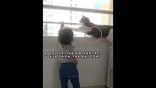 Balcony Guard Cat: Touch the Railing, Get the Paw 🐾🚫