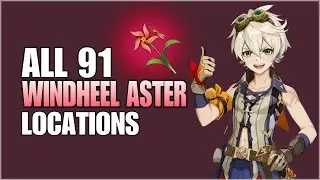 All 91 Windwheel Aster Locations Fast and Efficient Farming Route Genshin Impact Ascension Material