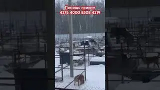 Для нас ЭТО ПРОСТО КОШМАР