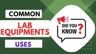 Common LAB Equipments Names and their Uses | Lab instruments | Lab Info