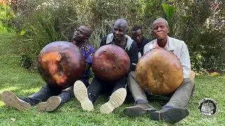 Pamuchakata Mbira Group play Nyamaropa 2022