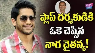 Naga Chaitanya Akkineni Movie With Merlapaka Gandhi | Tollywood Movies | YOYO Cine Talkies