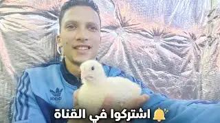 تفاصيل اليوم السابع ودعواتكم مع بخير اللهم بارك وزد في ذلك يارب العالمين 👌❤️