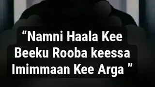 karora ajibaa fi kolfaa Ajibaa bara  👈@thedonato @seifuonebs @ZachKing@donkey13@lovediana