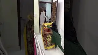 Ariba ki Chalaki 🧕😂 #comedy #funny #shabahat #islamic #shorts