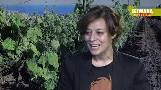 Vins dol&ccedil;os i rancis, CONVERSES DE VI #SetmanaViCatal&agrave; #SetmanaVi