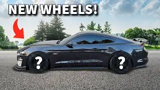 NEW WHEELS For My S550 Mustang GT! (JDM STYLE)