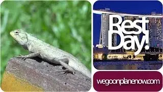 Rest Day : Singapore Trip - wgopn 007