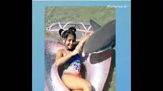 Shark Shark Shark ATTENTION 😱😱 #shark  #attention #fake #jokes #funnyvideo 