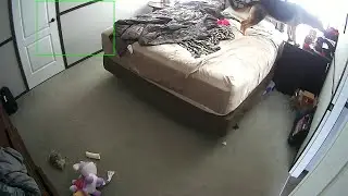 Dog Cuddles Into Its Human's Clothing for Comfort || ViralHog