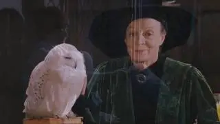20 Years Ago Today Hedwig Died Saving Harry Potter