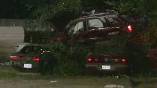 Carjacking suspect crashes in Fort Worth, police say