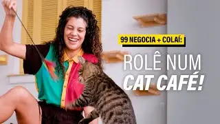 Gateria Cat Caf&eacute;: conhe&ccedil;a o lugar perfeito para quem ama gatinhos