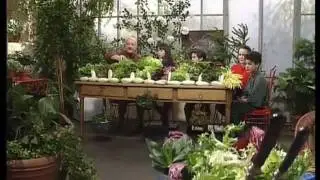 Comment c'est fait ? - La salade - Jean-Pierre Coffe