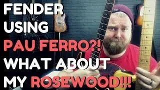 Fender перестали использовать палисандр? Разве пау ферро &mdash; не мусор? Guitar Player Logic