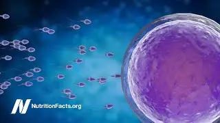 Does Laptop Wi-Fi Lower Sperm Counts?