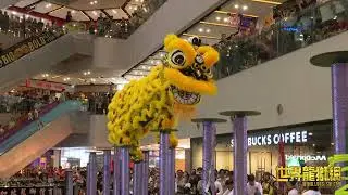 新加坡騰勇關聖宮龍獅團 Singapore Teng Yong KSK