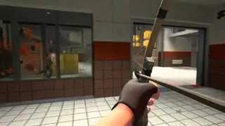 leptir1