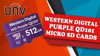 World Eye Cam - Western Digital Purple QD101 microSD Cards