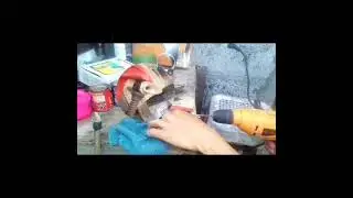 Cue stick restoration | DIY | Cue Making