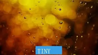 tiny - nu 