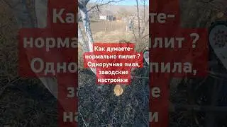 бензопила #canfly заводские настройки обкатка - первый бак #садоводничество #chainsaw #бензопила