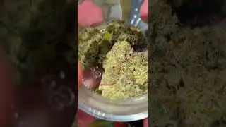 Fig farms..KRYPTO CHRONIC #1 #exoticweed