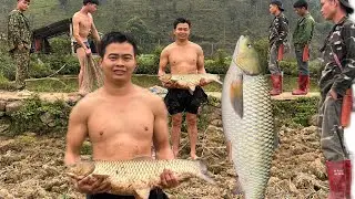 Taking care of pets, harvesting fruits and vegetables, and fishing ly quyet farm