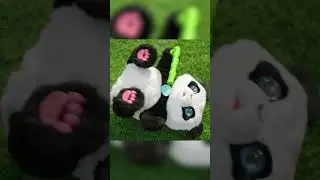 furReal Coco My Tumbling Panda (10)