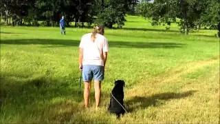 Watermark Retrievers Star First Thrower for Landmark