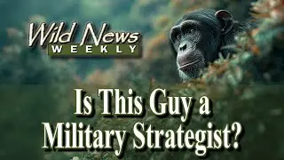 Chimps Take the High Ground in Borderlands: Wild News Weekly