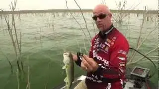 War Eagle Heavy Finesse Jig at Falcon Lake w/Marty Stone - Tackle Warehouse VLOG #190
