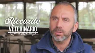 The Doc Farm -  Tragliata Puntata 4
