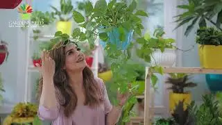 Jarurat Bhi, Khubsurat Bhi! Garden&rsquo;s Need Planters with Raveena Tandon | Rainy Deals 🌿✨