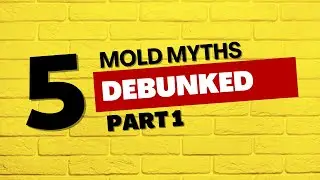 Black Mold Information