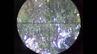 Bird Hunting in Pakistan 2026 | Complete Guide to Legal Hunting, Seasons, Birds & Best Locations