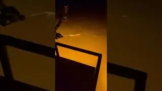 Bowfishing Minnesota